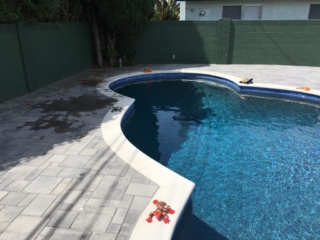 Gray pavers with white coping and pebble finish