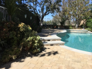 backyard with pool pavers coping radiant fusion pearl