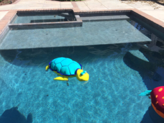 Alan Smith Pool Plastering & Remodeling | Rock Waterfalls, Slides, and Grottoes