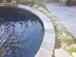 Alan Smith Pool Plastering & Remodeling | Natural Stone Coping
