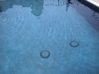 Alan Smith Pool Plastering & Remodeling | Black Opal Alan Smith Pool Plastering & Remodeling | Black Opal