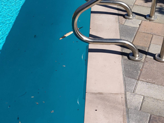 Alan Smith Pool Plastering & Remodeling | Pre-Cast Concrete Coping