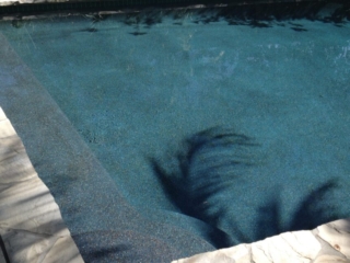 Alan Smith Pool Plastering & Remodeling | Black Opal Alan Smith Pool Plastering & Remodeling | Black Opal