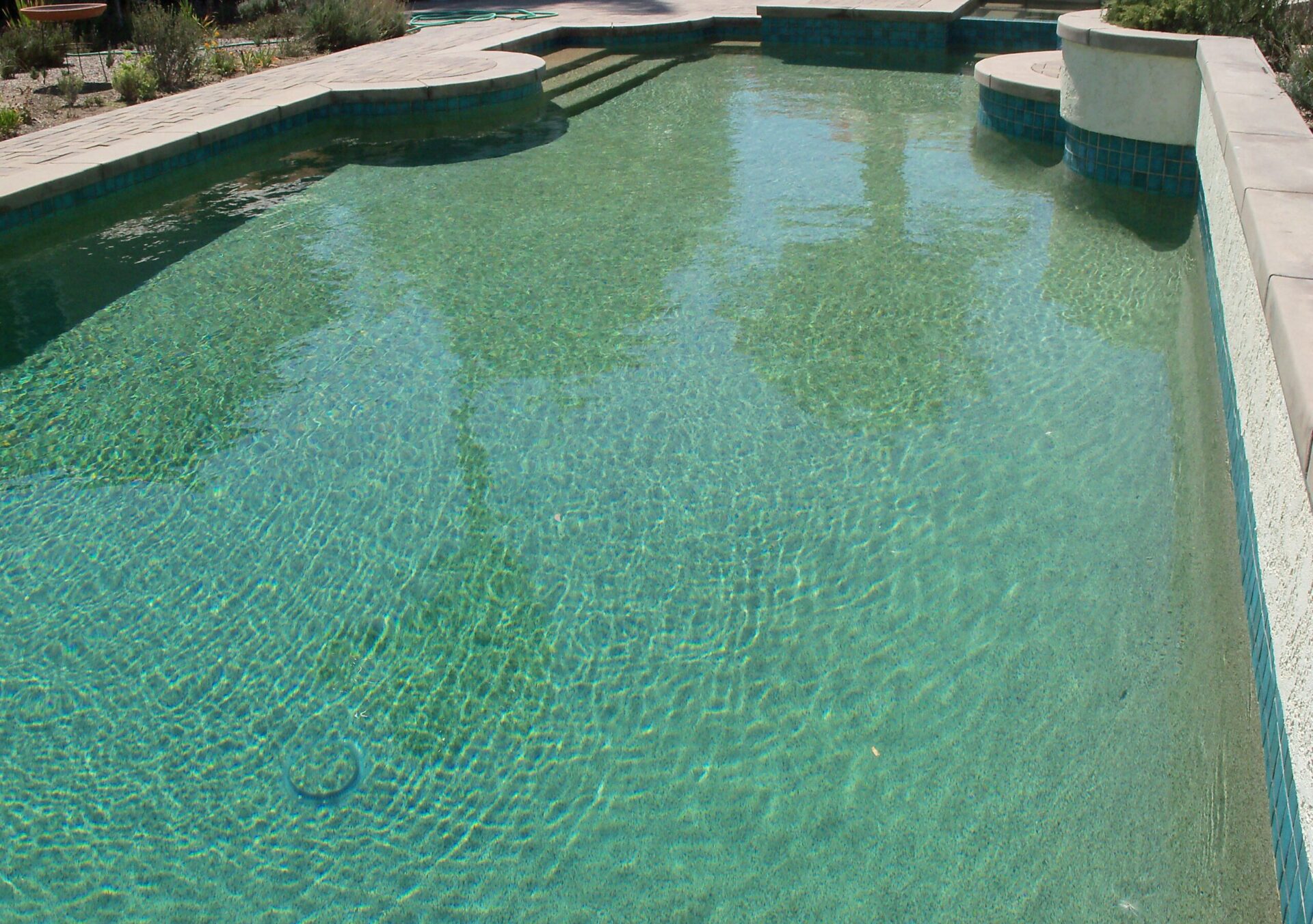 Alan Smith Pool Plastering & Remodeling|Desert Coral Sandstone